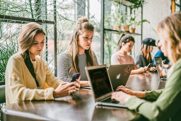 Carrotmoon verrät: So optimierst du deine Bewerbung für Werkstudentenjobs