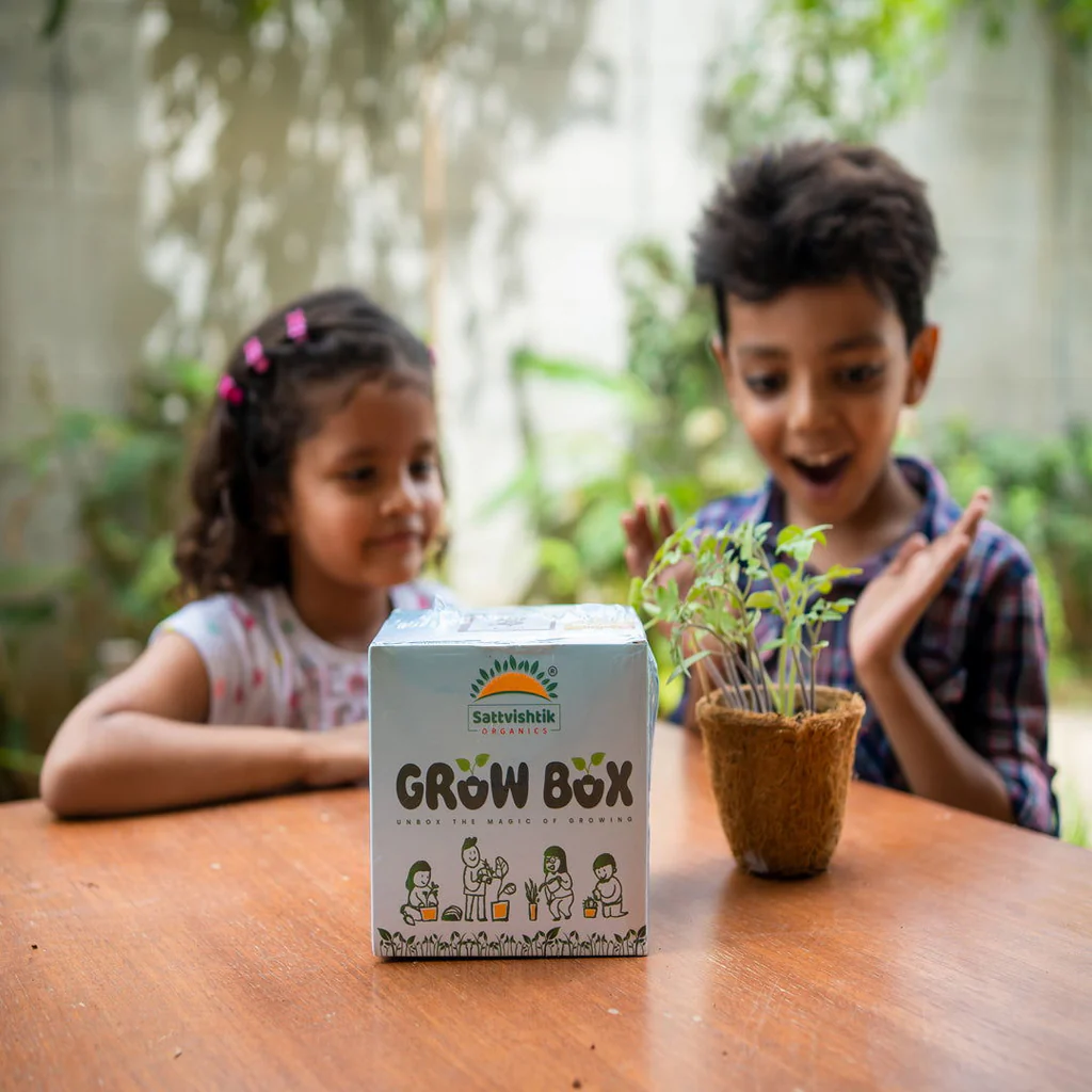 Die Vorteile eines Growbox Sets für Anfänger und Profis